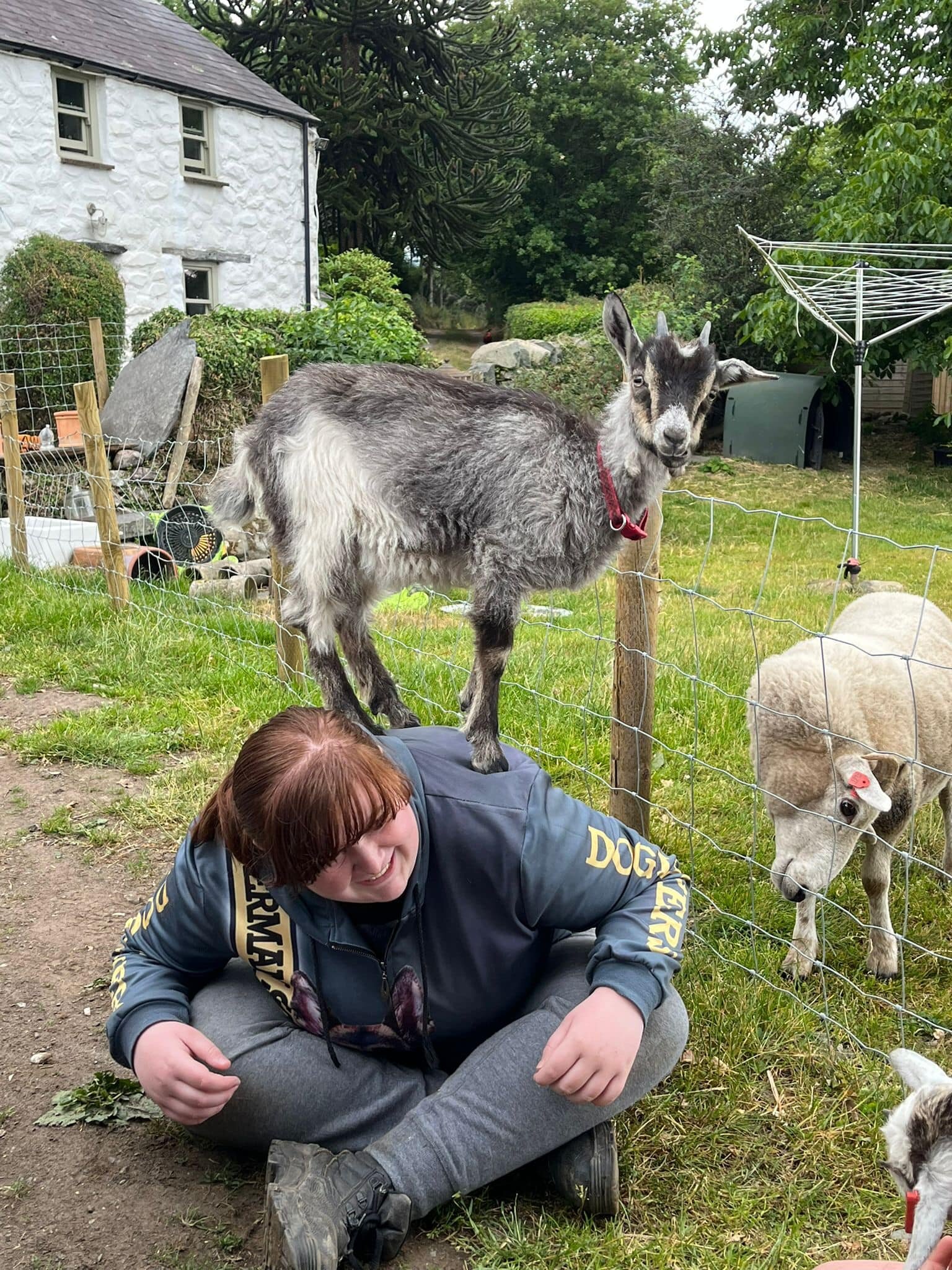 volunteering opportunties