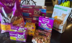 Read more about the article Cat food donations